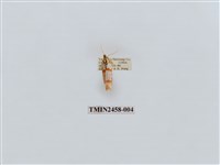 藏品(三斑叉紋苔蛾)的圖片